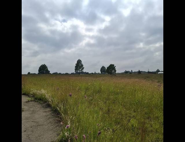 LAND FOR SALE IN RIETFONTEIN